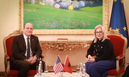 David Wisner takim me kryeparlamentaren Nikolla: Parlamenti funksional, thelbësor për integrimin euroatlantik