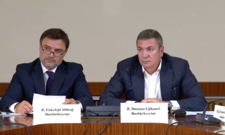 “Vdes” komisioni Gjiknuri-Alibeaj: Reforma Zgjedhore do të bëhet me grupin e Berishës