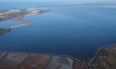 Dhëndri i Trump resort luksoz në bazën ushtarake/ “Të gjitha zonat e mbrojtura në Shqipëri, në rrezik”, analiza: Sazani dhe Zvërneci, shënjestrat e para