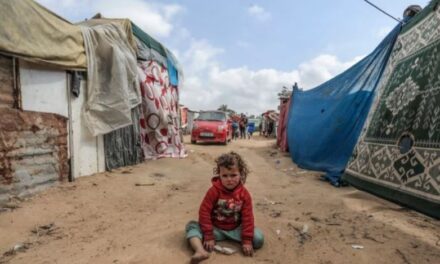 OBSH: Kequshqyerja e fëmijëve, posaçërisht ekstreme në veri të Gazës