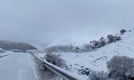 Dëbora e pranverës! Reshje në Shkodër, Peshkopi, Korçë dhe Gjirokastër