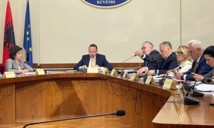 “E di që nuk rri dot pa një kartolinë nga ai”, Gogu-Salianjit për kërkesën në Kryeministri lidhur me TIMS