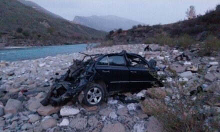 Makina me mbi 200 km në orë/ Shoferi refuzoi t’i ndalonte patrullës, “Benz”-i me klandestinë ‘fluturoi’ nga rruga drejt Vjosës rreth 300 m