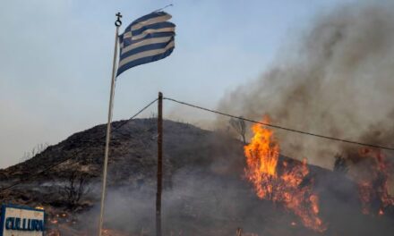 Greqia nis betejën me flakët në Kretë, shteti helen në rrezik pas dimrit më të ngrohtë në histori