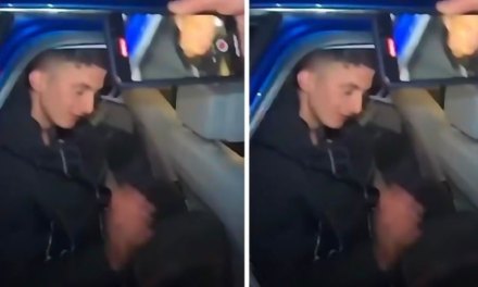 Vrau efektivin e Shqiponjave në Fier, zbardhet dëshmia e Azgan Mërnicës: S’jam bërë pishman! Ja ku u fsheh