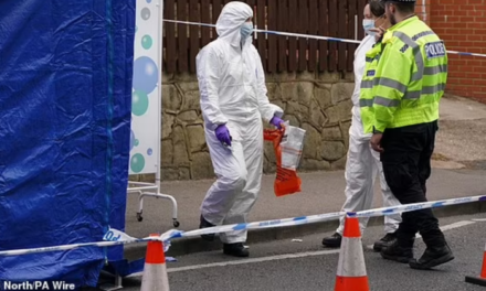 “Më ndihmoni, kam gjakderdhje” / Horror në Angli, gruaja shqiptare masakrohet me thikë nga ish-burri pasi la fëmjët në shkollë