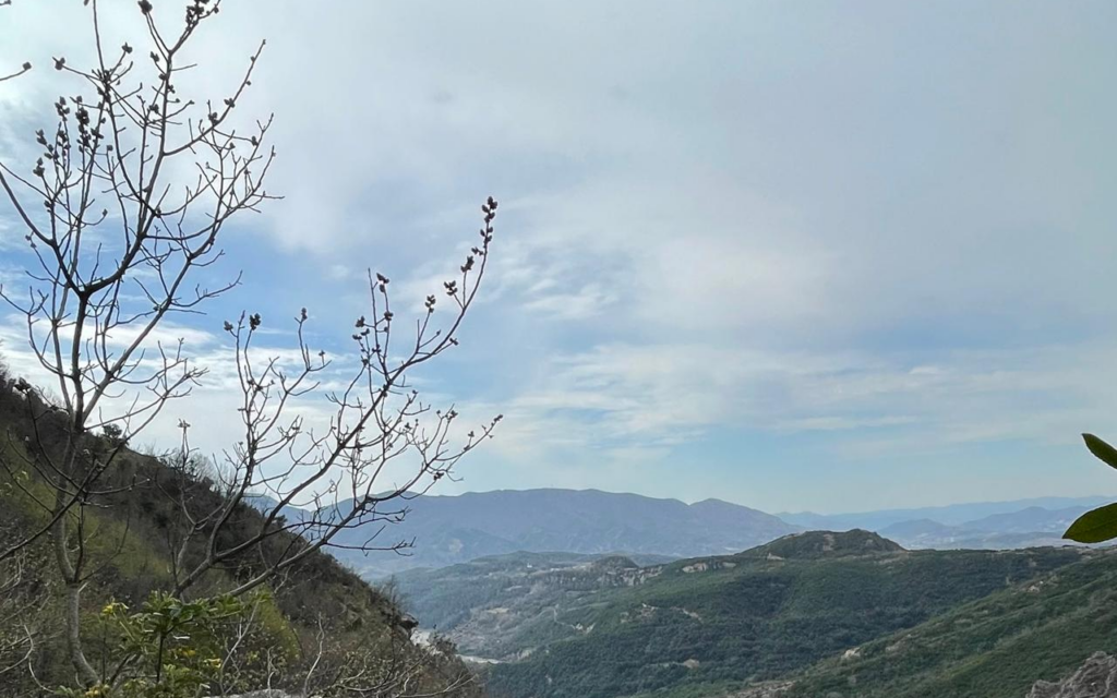 Parashikimi i motit 21 Maj 2024