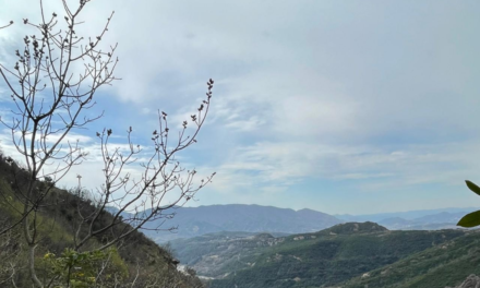 Parashikimi i motit 21 Maj 2024