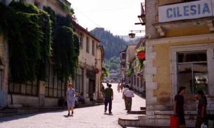Reportazhi i gazetares amerikane, në ’89-ën: Gjirokastra, vendlindja Enver Hoxhës dhe shkrimtarit më të mirë bashkëkohor, Kadare, në muzg bëhej i rrezikshëm, rrugët pa ndriçim, me karroca, biçikleta, dele, mace, gomerë…
