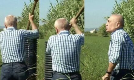 Meta u bëri thirrje qytetarëve që të rrëmbejnë armët, Romeo Kara: Ai dhe familja e tij janë në hall të madh, njerëzit po e braktisin