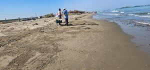 IMG 20240701 WA0004 3