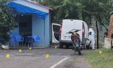 Viktimat u konfliktuan me djalin e tij, motivi që shtyu 49-vjeçarin të vriste Gramoz dhe Vladimit Kurtajn