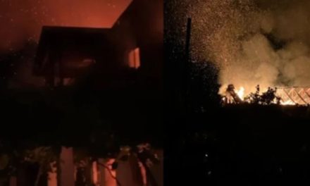 Tragjedia në Has/ Reagon policia dhe zbardh detajet tronditëse: Djali u fut në banesë për të shpëtuar nënën e tij, por…