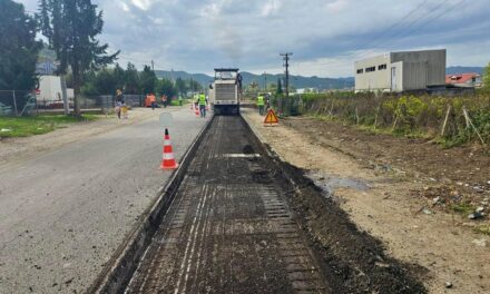 “E gjeni te telefoni i Monikës”, Kryemadhi i përgjigjet Lefter Kokës: Ja kush është peshku i madh