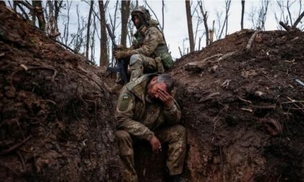 “Burg ose luftë”, të akuzuarit për krime në Rusi vihen përballë dy mundësive
