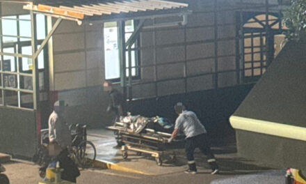 Mbytja e anijes me emigrantë në Greqi/ Katër viktima, shpëtohen 26 të tjerë