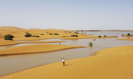 Marok: Një oaz i ri “lindi” në shkretëtirën e Saharasë pas përmbytjeve