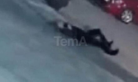 U qëllua me plumb në kokë/ Pamje pak momente pas vrasjes së biznesmenit në Tiranë