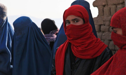 Zvicra ndalon burkën në vende publike nga viti 2025