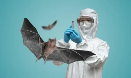 Mosmarrëveshja e amerikaneve mbi origjinën e COVID-it: si u anashkalua FBI-ja