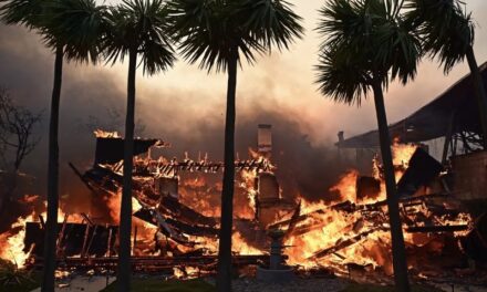 As floriri i Hollywood-it nuk i bën dot ballë fuqisë së natyrës