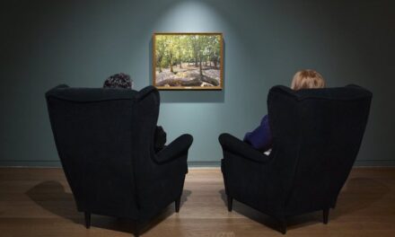 MUZEU “I PËRQËNDRIMIT”/ Pjesë e fushatës për përmirësimin e shëndetit mendor! “Dhoma për të marrë frymë”, vetëm 3 piktura në të