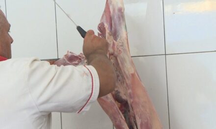 Në vend s’ka më bagëti, vitin e shkuar u importua 84 milionë euro mish