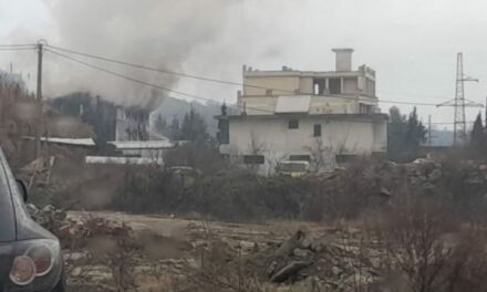 Përfshihet nga flakët një qendër tregtare në Vorë