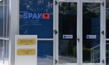 SPAK kërkon konfiskimin e pasurive të një organizate kriminale të trafikut të ndërkombëtar të lëndëve narkotike, kush janë anëtarët e bandës