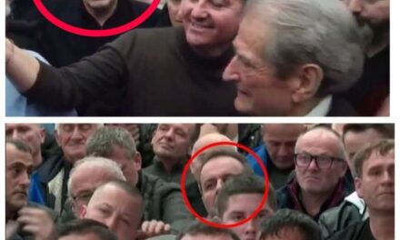 Nga Adriatik Llalla te Gjin Gjoni, Berisha në fushatë me të korruptuarit e gjyqësorit