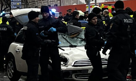 Mynih: 24-vjeçari afgan shofer i makinës që goditi këmbësorët – Një grua e vdekur dhe disa të plagosur