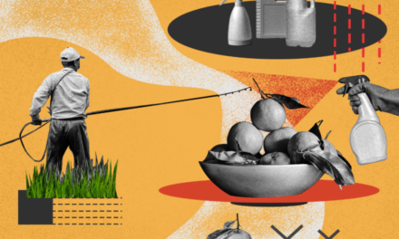 BIRN: Genocid ndaj popullsisë! Pesticidet kancerogjene të ndaluara në Europë tregtohen në Shqipëri