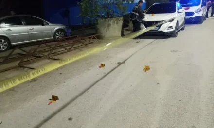 Qëlloi me armë gjahu vëllanë pas sherrit për pronat, arrestohet 50-vjeçari në Divjakë