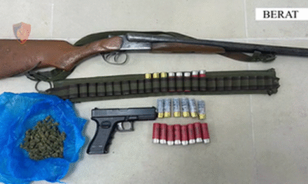 Armë zjarri, municione dhe drogë, arrestohen 2 persona në Berat dhe Krujë