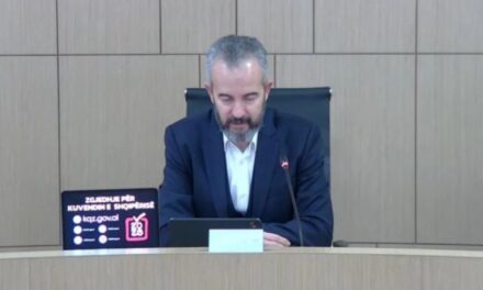 Zgjedhjet e 11 majit, Celibashi: Fletët e votimit do të dërgohen në Diasporë deri më 17 prill