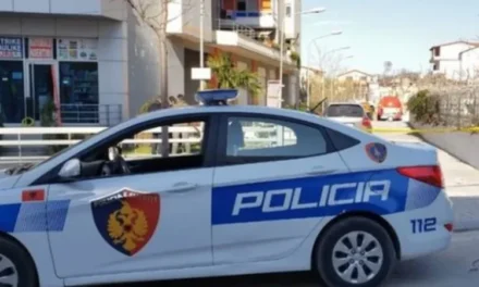 Shembet muri rrethues i një banese në Roskovec, humb jetën 4-vjeçarja