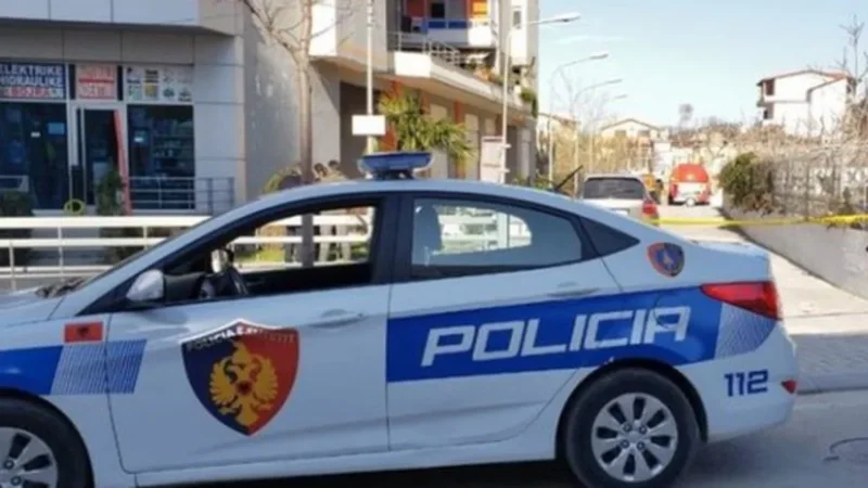 Shembet muri rrethues i një banese në Roskovec, humb jetën 4-vjeçarja