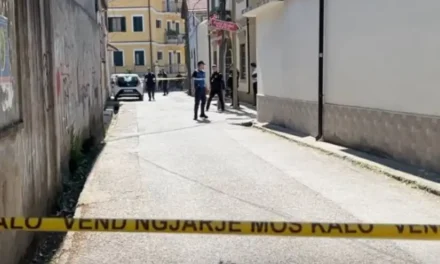 Tragjike/ Kishin ardhur me pushime në Shqipëri, burri i merr jetën gruas