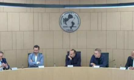 Votat e Greqisë u lanë mënjanë, PS ankimon vendimin e Celibashit: S’ka kompetencë!