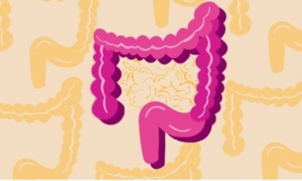 Pse shëndeti i zorrëve ndikon në të gjithë trupin