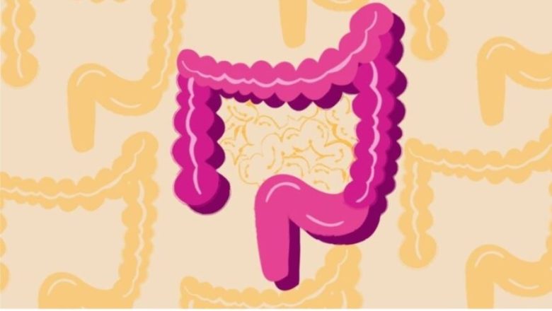 Pse shëndeti i zorrëve ndikon në të gjithë trupin
