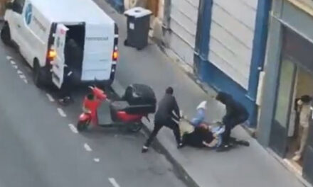 Paris: Tentativë rrëmbimi të vajzës dhe nipit të manjatit të bitcoin-it