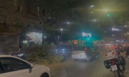 Aksident i frikshëm në mes të Tiranës, makina merr përpara barrierat ndarëse dhe thyen pemën, largohet nga vendngjarja, por… i bie targa