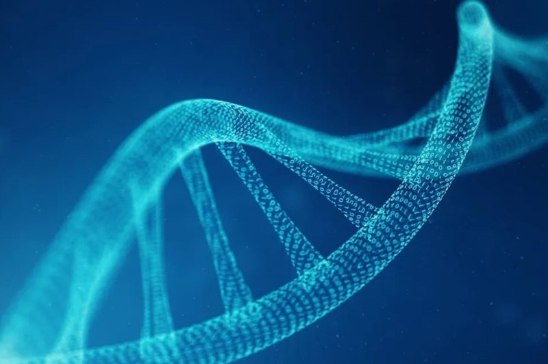 Projekti që mund të trondisë shkencën: Britania nis ndërtimin e ADN-së njerëzore në laborator