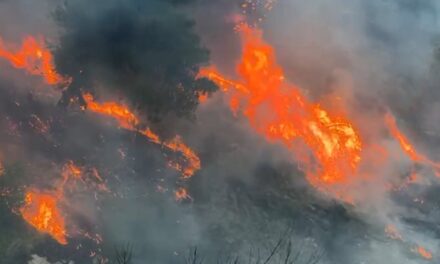 Zjarret djegin 2800 hektarë pyje, dëmi ekonomik 16.75 mln euro