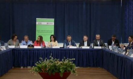 “Duhet reformë reale gjithëpërfshirëse”, Celibashi për 11 majin: Rama dhe Berisha, fushatë me sulme personale