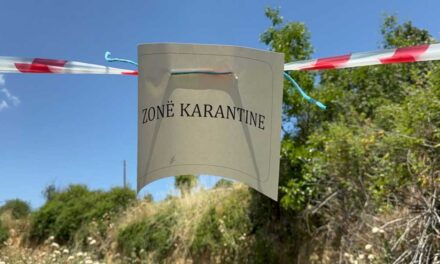 Murtaja e bagëtive, konfirmohet vatra e dytë në Korçë