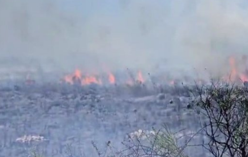 Zjarr në pyllin e Sodës në Vlorë/ Pushuesit largohen nga plazhi i Zvërnecit, katër zjarrfikëse në vendin e ngjarjes