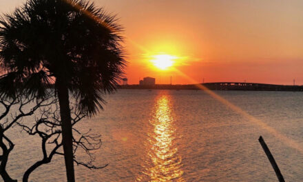 Solstici i Verës dhe Dielli në Gaforre nga 21 qershori 2025 – Parashikime për të gjitha shenjat e zodiakut