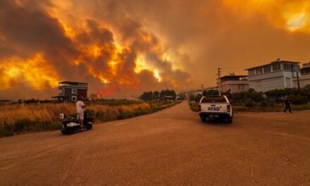 Turqia nën ‘pushtetin’ e flakëve, mbi 50 mijë të evakuuar